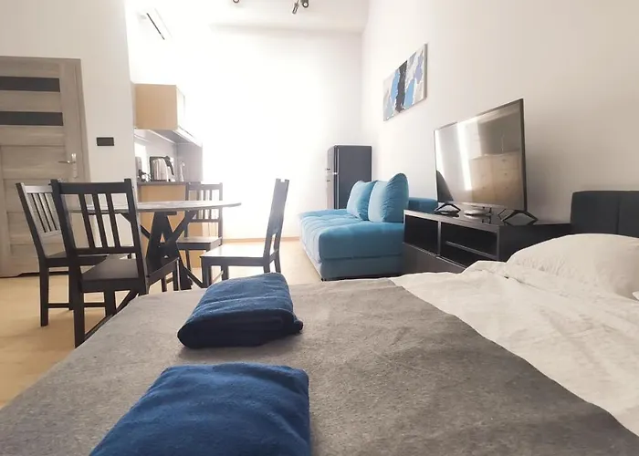 Apartment mit 1 Schlafzimmer